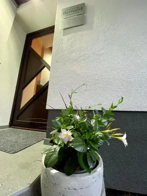 a plant in a white pot in front of a building at Apartma Bernard in Radovljica