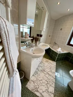 a bathroom with a sink and a bath tub and a sink at Apartma Bernard in Radovljica