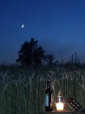 a bottle of wine sitting on a table next to a field at MichoArt in Ljubljana