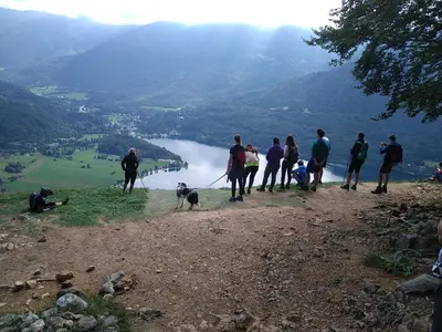 a group of people standing on a hill with a dog at MichoArt in Ljubljana