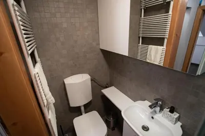 a bathroom with a white toilet and a sink at Apartma Borovnica Rogla in Vitanje