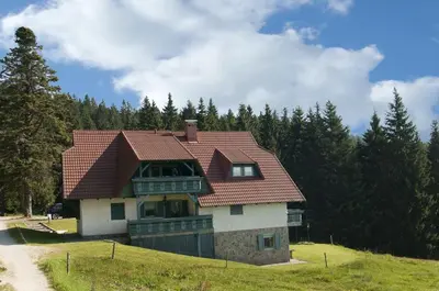a house with a red roof on a hill at Apartma Borovnica Rogla in Vitanje