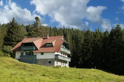 a house with a red roof on a hill at Apartma Borovnica Rogla in Vitanje