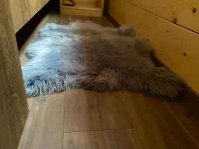 a furry rug on the floor in a room at Wooden lodge with jacuzzi in Rečica ob Savinji