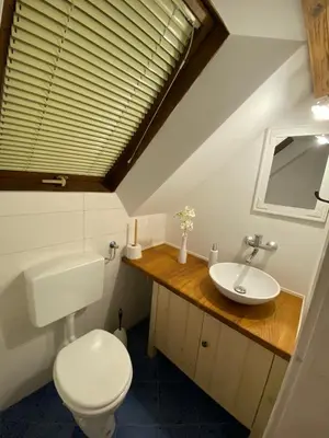 a bathroom with a toilet and a sink at Vila Jana in Radovljica