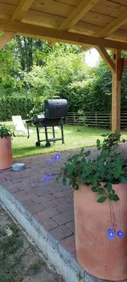 a picnic table and a grill in a yard at Vila Jana in Radovljica