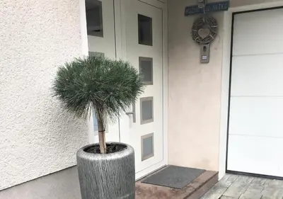 a plant in a pot in front of a door at Victoria's Place Apartment in Ljubljana