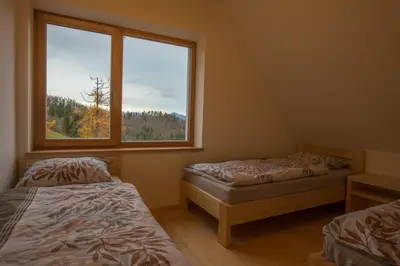 two beds in a room with a window at House On The Hill (Hiška Na Griču) in Spodnja Idrija