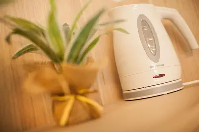 a toaster sitting on a counter next to a plant at Rooms Klik Postojna in Postojna
