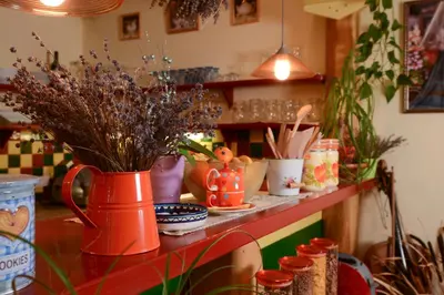 a table with a vase filled with dried flowers on it at Rooms Ravnik in Bled