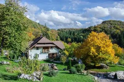 a house in the middle of a field with trees at Miškar Rooms in Cerknica