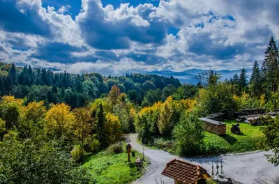a winding road in the mountains with trees at Miškar Rooms in Cerknica