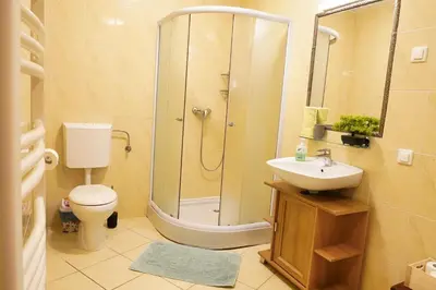 a bathroom with a shower and a toilet and a sink at Jacobs Resort 4 Bedroom Private House in Kranjska Gora