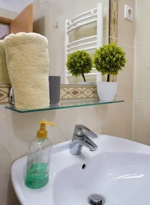 a bathroom sink with a soap bottle on it at Jacobs Resort 4 Bedroom Private House in Kranjska Gora