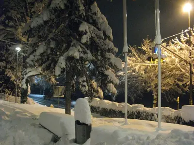 a snow covered street at night with a snow covered tree at Youth Hostel Krško in Krško