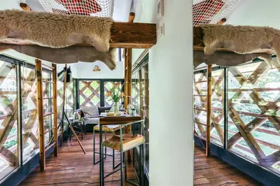 two views of the dining room with animal heads hanging from the ceiling at House Raduha in Luče