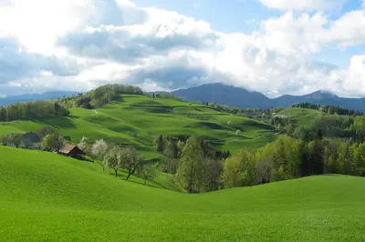 a green hillside with golf greens and trees at Tourist Farm Ljubica in Poljane nad Škofjo Loko