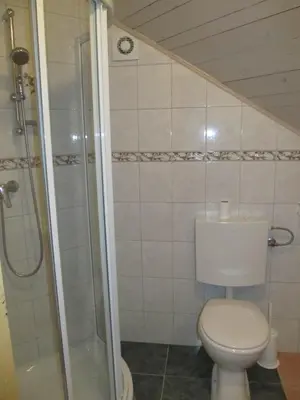 a bathroom with a toilet and a shower at Tourist Farm Ljubica in Poljane nad Škofjo Loko