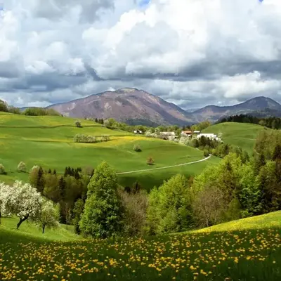 Tourist Farm Ljubica