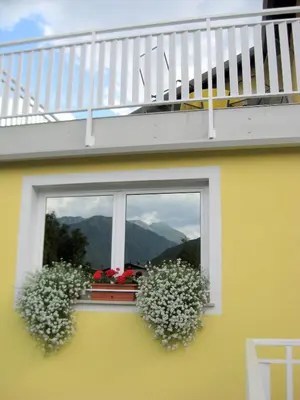a window with two plants and a balcony at Guesthouse Sobe Silva in Tolmin