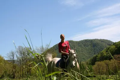 a man riding a horse in a field at Guesthouse Sobe Silva in Tolmin
