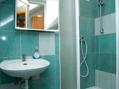 a bathroom with a sink and a shower at Guest House Pri Treh Lipah in Ptuj