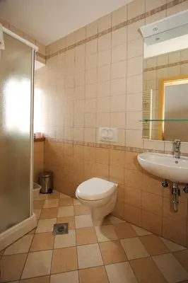 a bathroom with a toilet and a sink at Apartments Janks in Vremski Britof