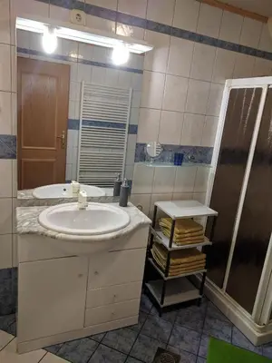 a bathroom with a sink and a shower at Apartma Kramar Podkoren in Kranjska Gora