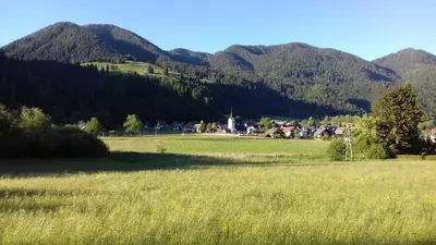 a field of grass with mountains in the background at Apartma Kramar Podkoren in Kranjska Gora
