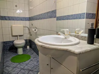 a bathroom with a sink and a toilet at Apartma Kramar Podkoren in Kranjska Gora