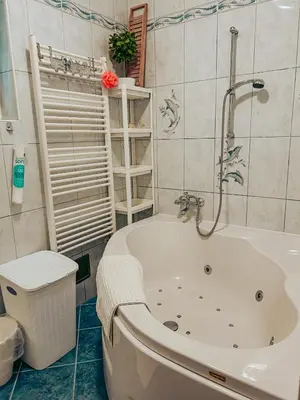 a bathroom with a bath tub and a toilet at Apartments Ivanović in Idrija