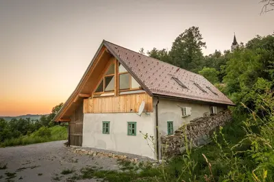 a house with a wooden roof on a hill at Vineyard cottage Škatlar 3 in Otočec