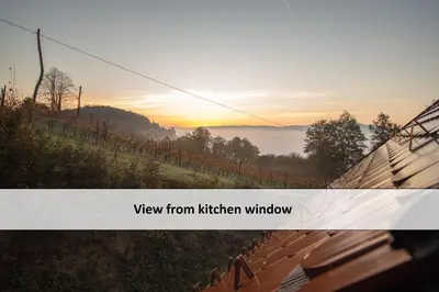 a view from kitchen window of a view from katter kitchen window at Vineyard cottage Škatlar 3 in Otočec