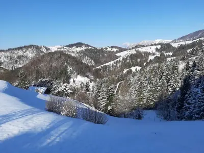 a snow covered hill with trees and mountains at Apartma Teloh in Kopačnica