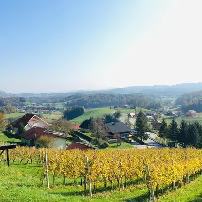 a view of a vineyard in a village at Apartment Baba Yaga 12 in Rogaška Slatina