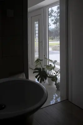 a bathroom with a sink and a plant in front of a door at Deluxe Apartments Panorama in Lesce