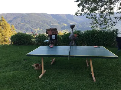 a ping pong table sitting in the grass with a dog at Domačija KOHOVO in Lovrenc na Pohorju