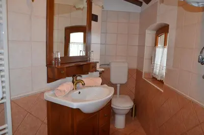 a bathroom with a sink and a toilet and a mirror at Pri Marjotu in Kojsko