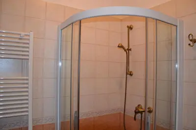 a shower with a glass door in a bathroom at Pri Marjotu in Kojsko