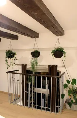 a room with potted plants hanging from the ceiling at Sweet getaway apartment - central & parking in Ljubljana