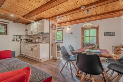 a kitchen and dining room with a table and chairs at Vila Rozi, Osilnica - vacation house Pr' Vili Rozi in Osilnica