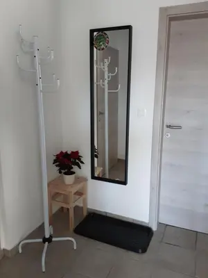a bathroom with a mirror next to a door at Apartments Barbi in Bled