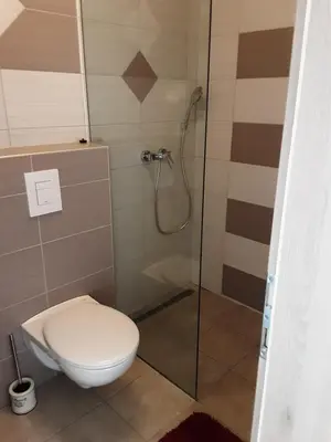 a bathroom with a toilet and a shower at Apartments Barbi in Bled