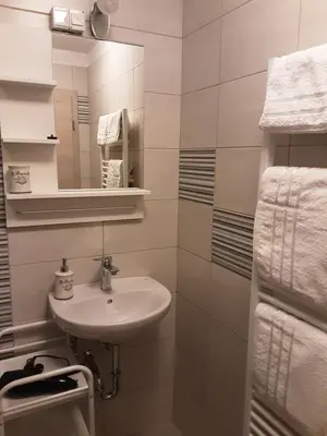 a bathroom with a sink and a mirror and towels at Apartments Barbi in Bled