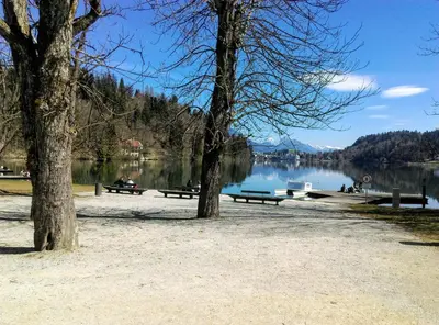 a park with benches and trees in front of a lake at Penzion Zaka in Bled