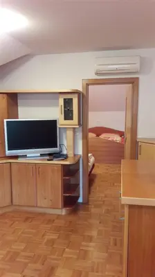 a room with a flat screen tv on a wooden cabinet at Tourist Farm Škrbina in Otočec