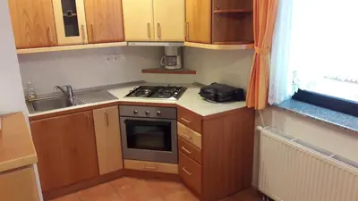 a small kitchen with a stove and a sink at Tourist Farm Škrbina in Otočec