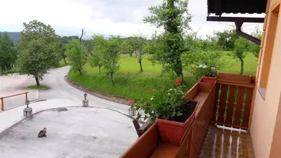 a cat sitting on a balcony looking out at a street at Tourist Farm Škrbina in Otočec