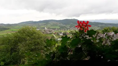 a red flower on a bush with a town in the background at Tourist Farm Škrbina in Otočec