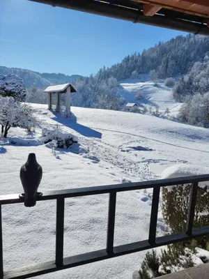 a view of a snow covered field from a balcony at Holiday Home NA VASI in Gorenja Vas